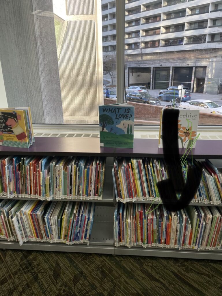 난이도별로 나뉜 도서관 어린이책 코너