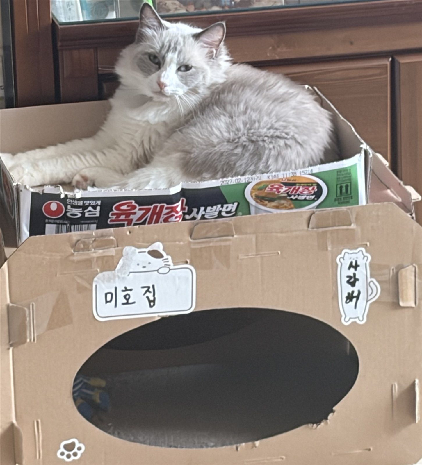 집에서 반겨준 미호